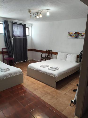 Porto Downtown Ground Floor Flat
