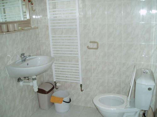 Koupelna v ubytování Apartmán Danuška Harrachov