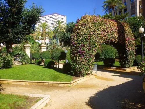Apartment La plaza 2 deluxe with balcony
