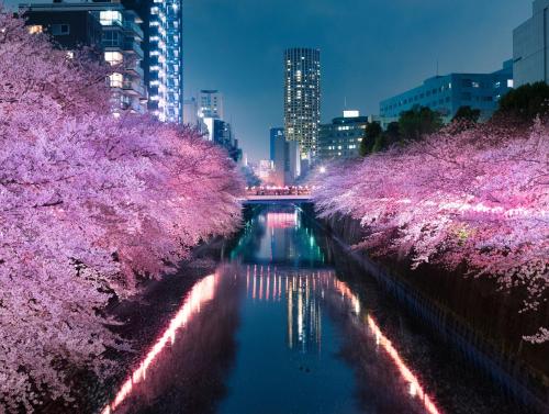 APA Hotel Shibuya Ekimae