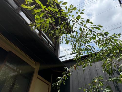Luten Kyoto Gojo