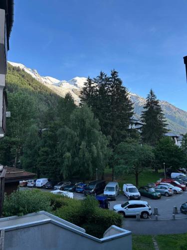 Boutique Family Alpine Retreat - Skiing, Parking