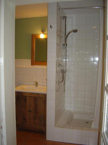 une salle de bain avec douche et lavabo dans l'établissement Les Trois Chenes, à Videix