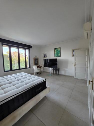 Luxury villa L'Oranour Cannes