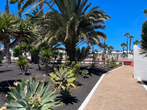 Casita Blanca, Jardín del Sol 1