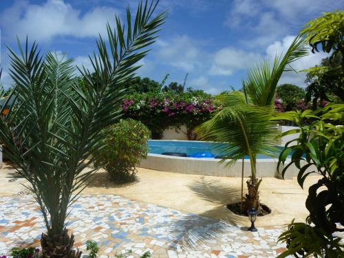 - une piscine bordée de palmiers et de fleurs dans l'établissement Residence Saint James, à La Somone