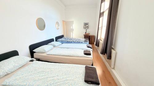 Urban Elegance 4BR 2BA - Fits 10