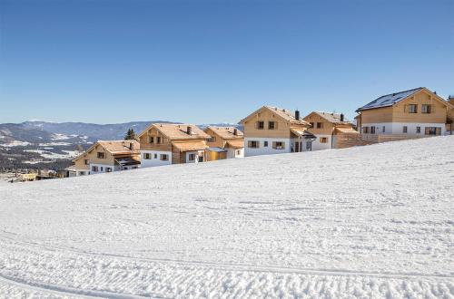 Το Chaletdorf-Fanningberg τον χειμώνα