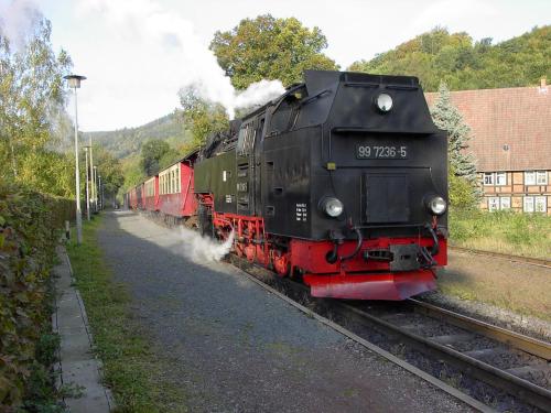 een trein reist over de rails bij Waldhaus in Wernigerode