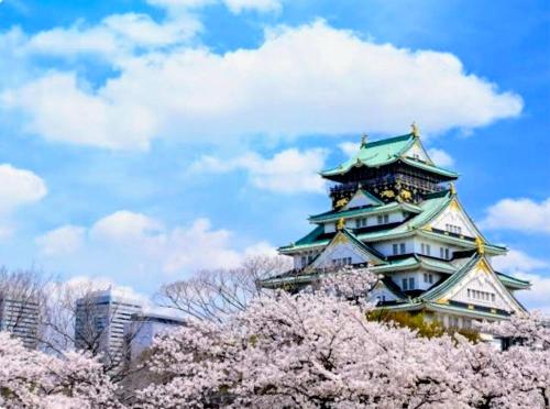 The Peak Tengachaya KIX Direct near Namba Beauty and Relax Suite 604