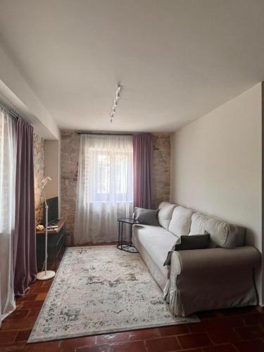 KORONSOVAC House with 4 Apartments