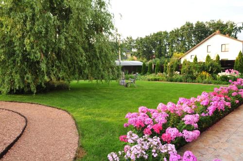 a row of pink flowers in a garden at Villa de Jardin in Svyatopetrivske