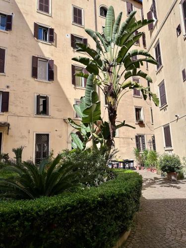 Casa Celeste in Trastevere