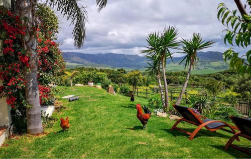 Finca La Rosa