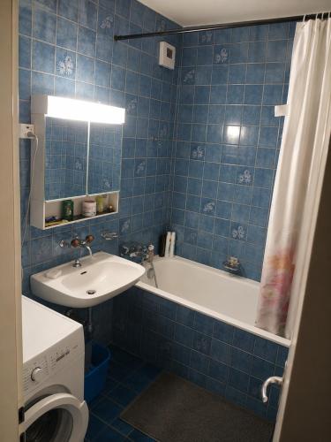 Central Geneva Rooms 2- 3 guests