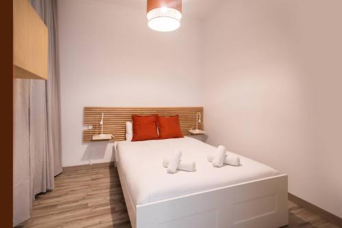 P1grvcc1059 - Fantastic 2BR flat in the center