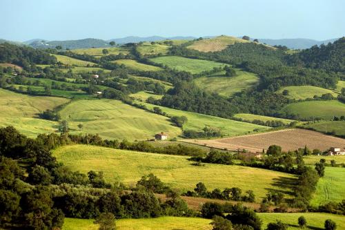 a view of a green valley with fields and trees at Saturnia Tuscany Country House in Saturnia