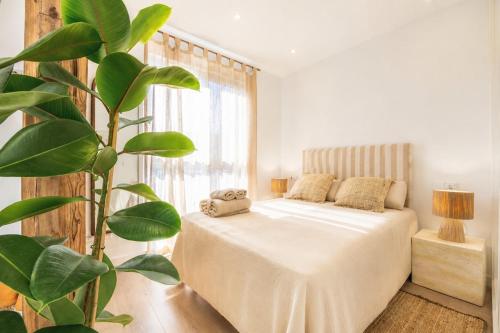 Suite Malabau 02