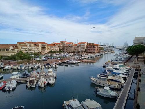 Studio confortable vue sur le port, avec balcon et parking