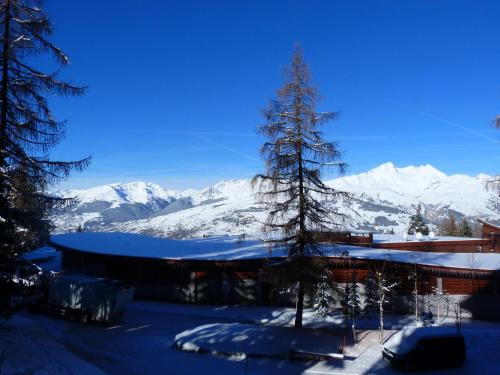 Résidence Aiguille Grive Bat Iii - Appartement 2 pièces 6 personnes en duplex, skis aux pieds, dans le village de Charmettoger à Arc 1800 MAE-2032