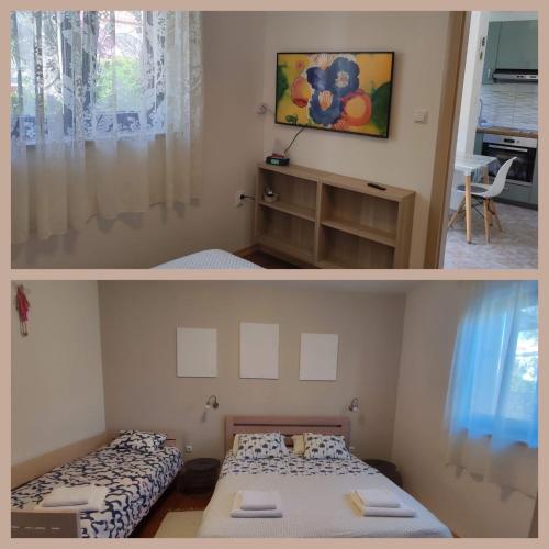 Argo Apartmani
