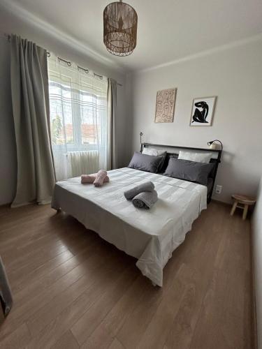 3-Bedroom House with Garden Near the Cité de Carcassonne