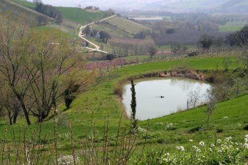 a small pond in a field with a river at Agriturismo Vecchio Gelso in Ortezzano