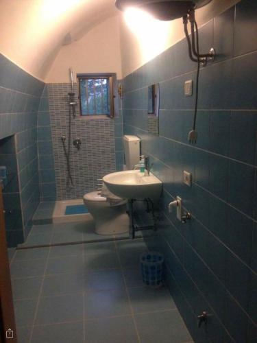 モンテネーロ・ディ・ビザッチャにあるDa Nonna Liviaのバスルーム(洗面台、トイレ、シャワー付)