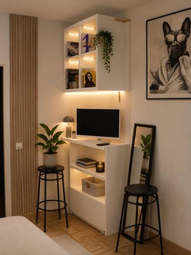 Central Geneva Apart Suite Rooms