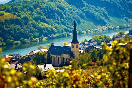 a small town with a church next to a river at Ferienweingut Rainer Beitzel in Kröv