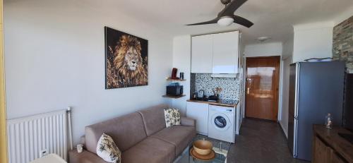 Splendide studio front de mer