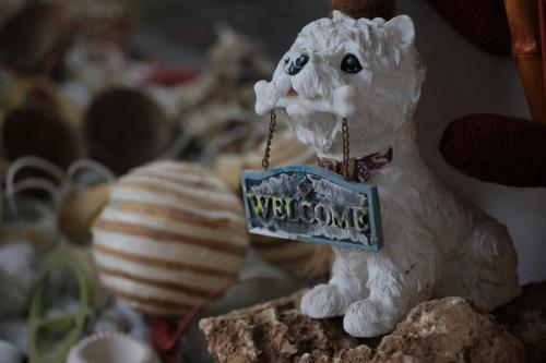 a toy dog with a sign that says welcome at BnB Notte Stellata in Savigliano