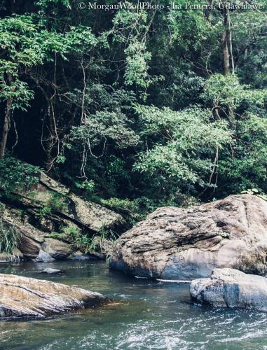 a river with rocks and trees in the background at La Pentera in Hambegamuwa