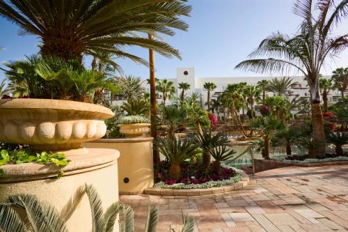 a resort with palm trees and a swimming pool at Royal Garden by Isrotel Collection in Eilat