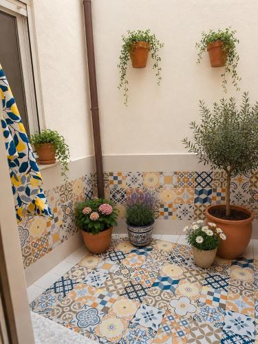 Casa Anjelita es un espacioso alojamiento en el Bajo Albaicin, 3 dormitorios, todo climatizado, ideal para ocio o trabajo a un paso del centro historico y de la sede de la universidad