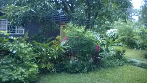 a garden of flowers and plants in front of a house at Gloria's Bed and Breakfast in Livingstone