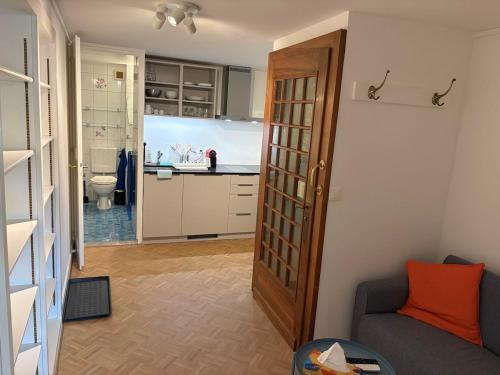 Nice 30 m2 studio, Geneva city center