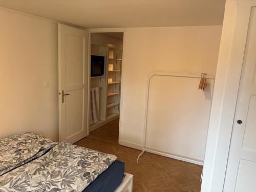 Nice 30 m2 studio, Geneva city center