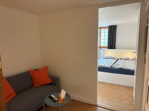 Nice 30 m2 studio, Geneva city center