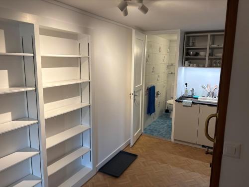 Nice 30 m2 studio, Geneva city center