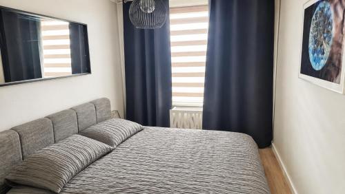 Apartament Dino