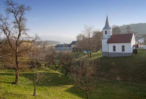 a small white church on a hill with trees at Willi's Bauernhof in Leiben