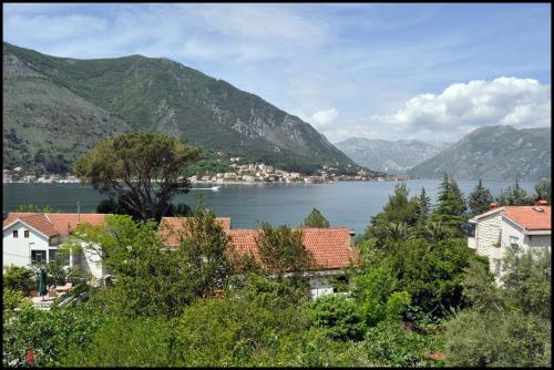 a view of a town and a body of water at Apartments Jovanovic - Alkima in Kotor