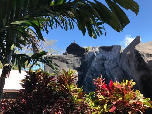 a large rock in a garden with plants at Hotel Cabanas La Teca in Liberia