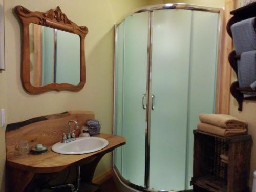 a bathroom with a shower and a sink and a mirror at La vieille ferme, Écogîte in Saint-Fulgence