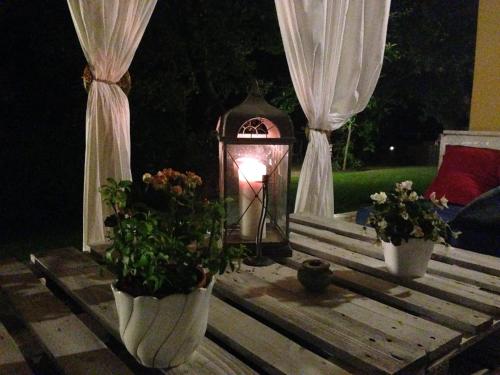 Κήπος έξω από το Agriturismo Borgo Nuovo Di Mulinelli