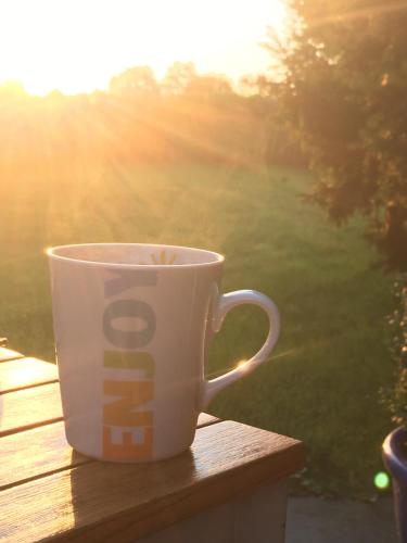 a coffee cup sitting on top of a wooden table at Hotel Löwenguth in Montabaur