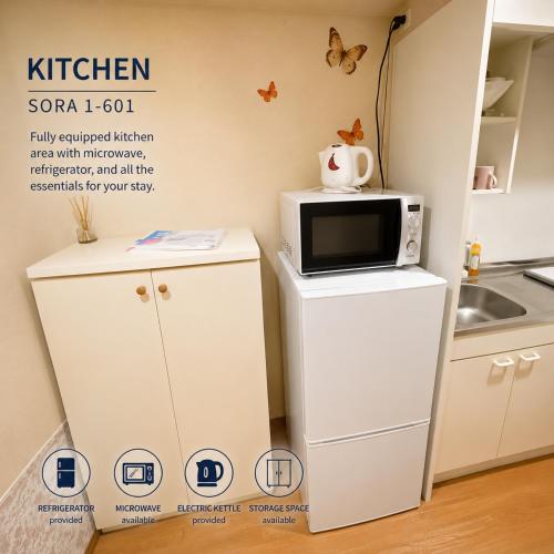 Sora 1-601