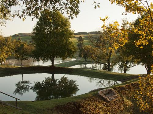 a pond in the middle of a park with trees at Whispering Waters in Fort Nottingham