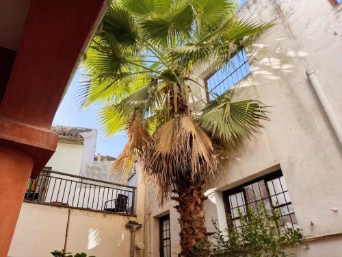 Patio de Armas Córdoba
